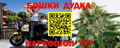 гидра Мариинск