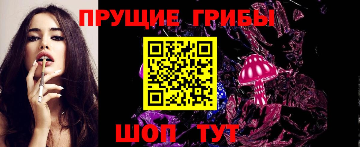 Заводоуковск  Псилоцибиновые грибы MAGIC MUSHROOMS  Вход с VPN 
