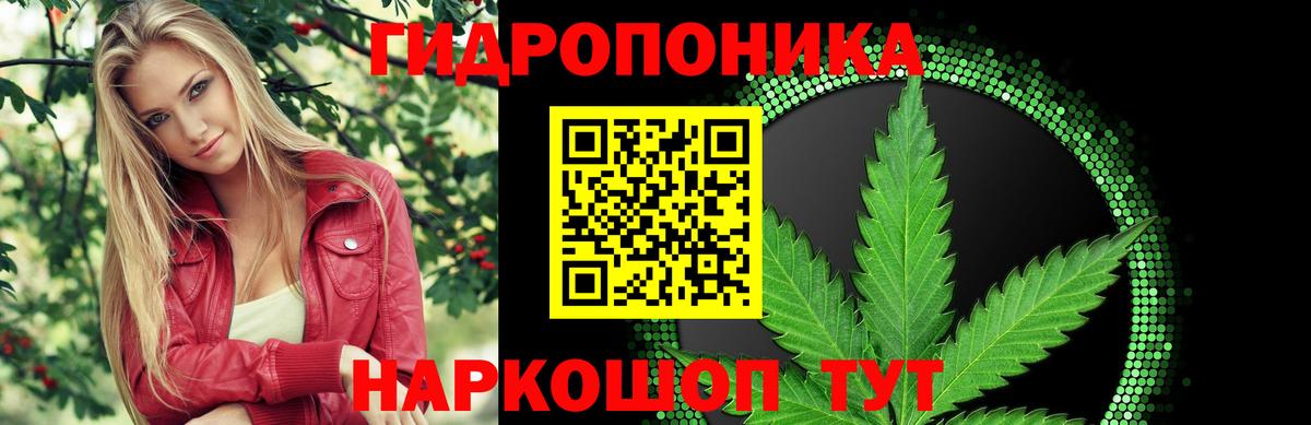 Бошки марихуана планчик  Бошки Шишки THC 21%  Вход с VPN  Заводоуковск 